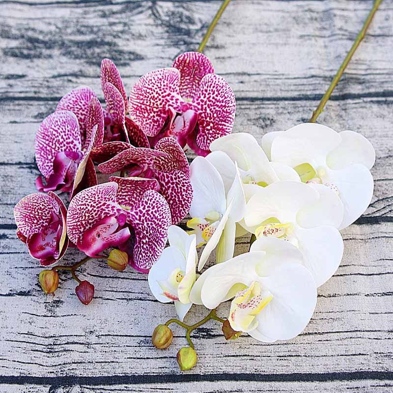 1 bundle(6 heads) plastic Butterfly orchid